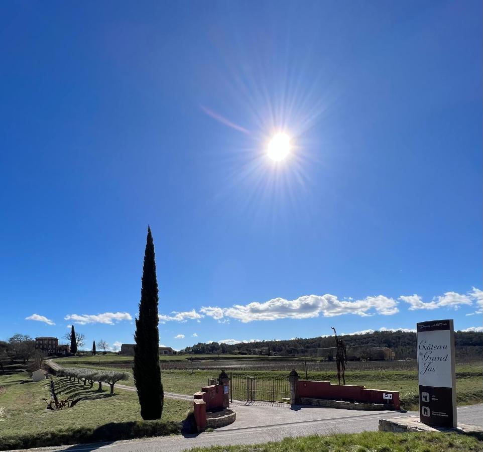 Chateau Du Grand Jas Entrecasteaux 外观 照片