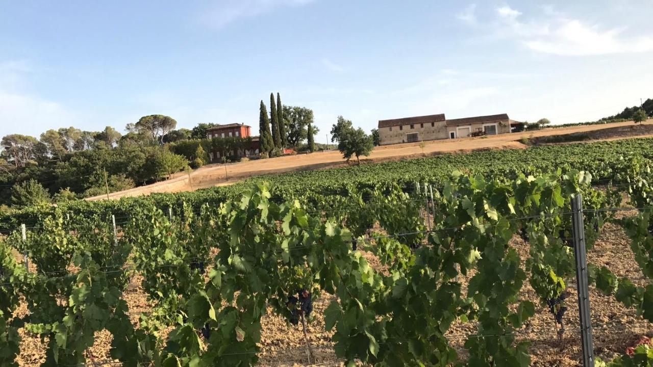 Chateau Du Grand Jas Entrecasteaux 外观 照片