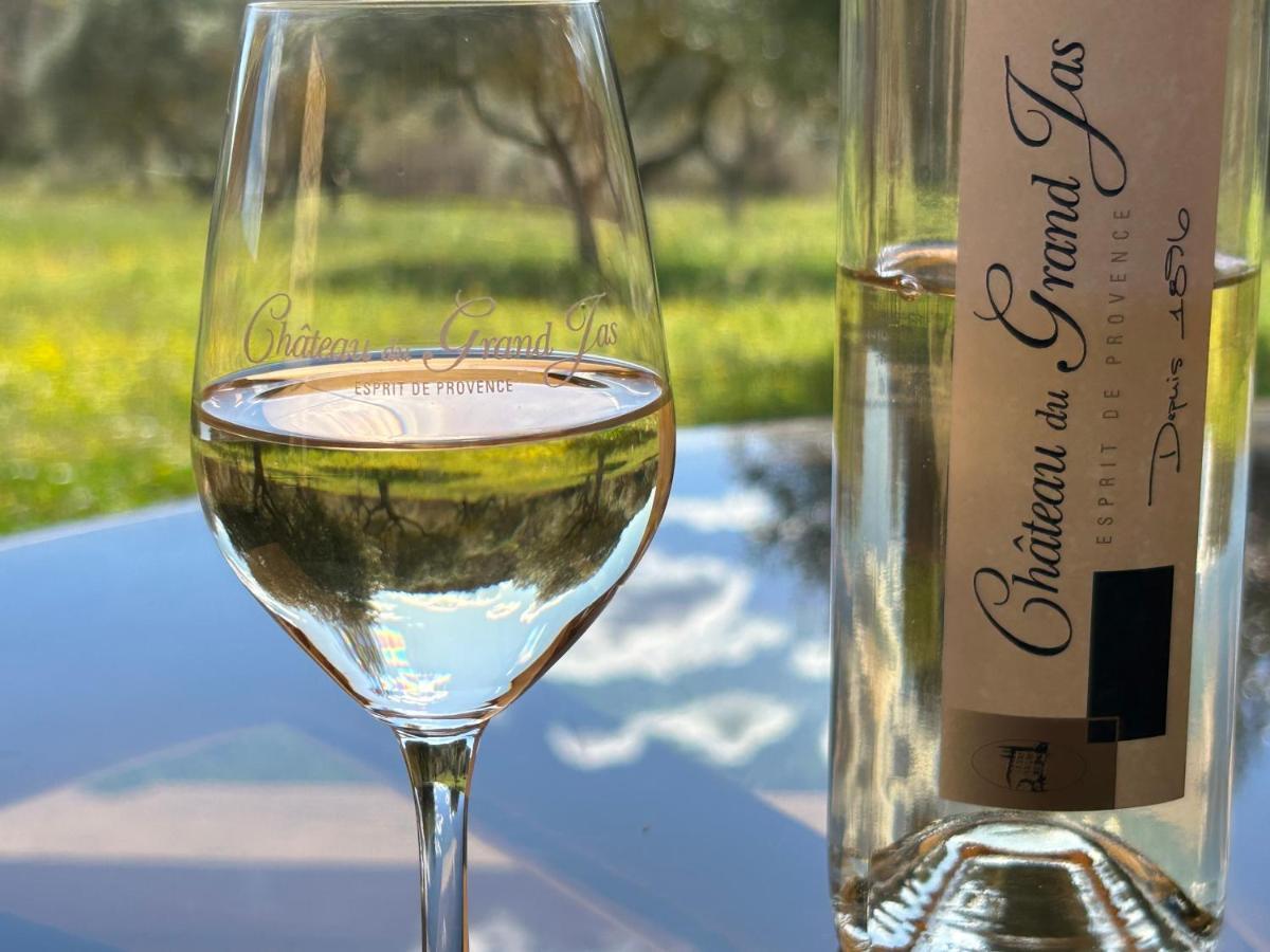 Chateau Du Grand Jas Entrecasteaux 外观 照片