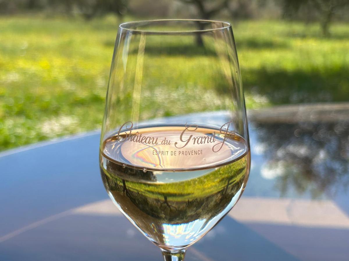 Chateau Du Grand Jas Entrecasteaux 外观 照片