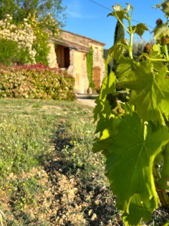 Chateau Du Grand Jas Entrecasteaux 外观 照片