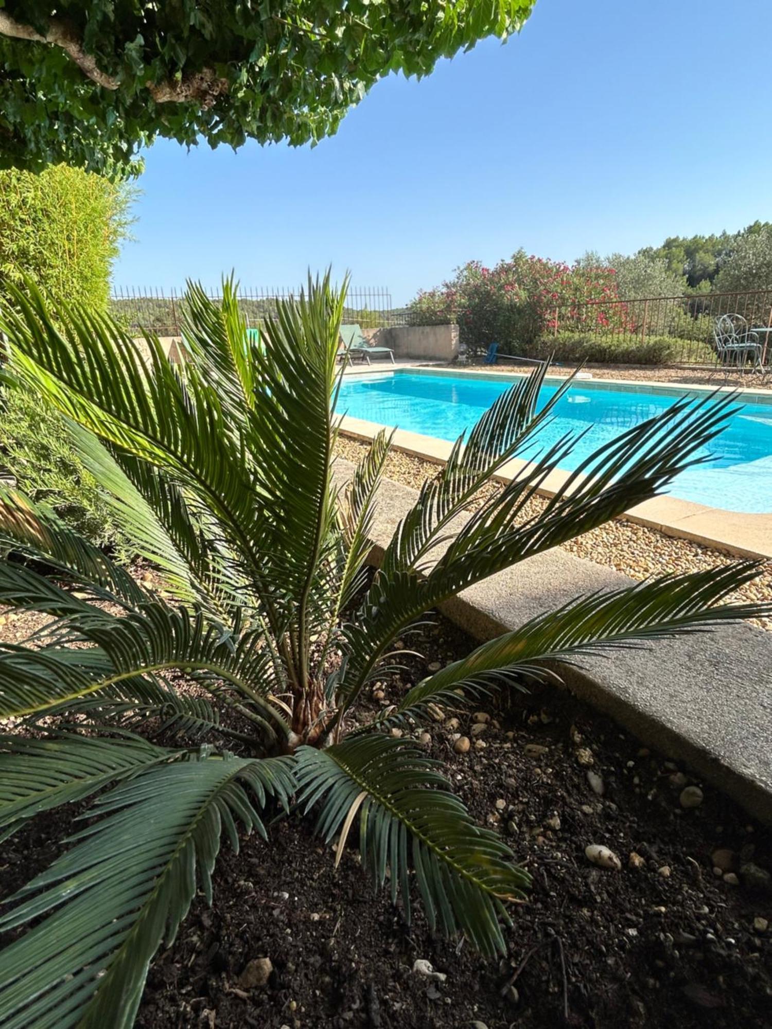 Chateau Du Grand Jas Entrecasteaux 外观 照片
